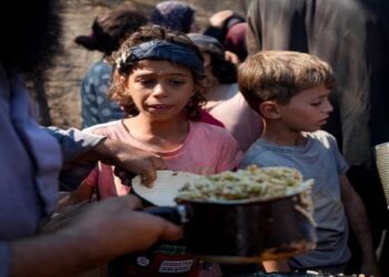 Φρίκη δίχως τέλος στη Γάζα: Μόνο το 1,5% της γεωργικής γης είναι πλέον καλλιεργήσιμο!