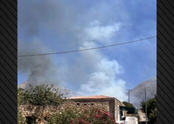 Φωτιά στη Μάνη – Δύο αεροσκάφη επιχειρούν στο σημείο