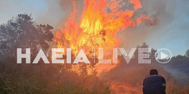 Φωτιά στην Ηλεία – Συναγερμός στην Πυροσβεστική