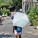 Ο καιρός τον Δεκαπενταύγουστο: Ήλιος, μελτέμια και μικρή πτώση θερμοκρασίας