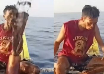 Φιλιππίνες: Καλαμάρι «έλουσε» με μελάνι ψαρά και έγινε viral (βίντεο)