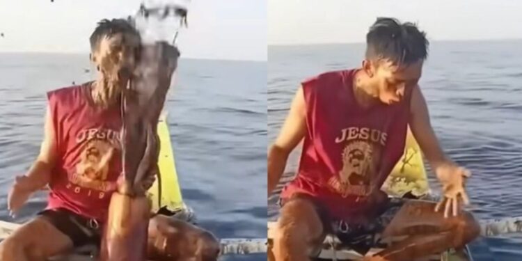 Φιλιππίνες: Καλαμάρι «έλουσε» με μελάνι ψαρά και έγινε viral (βίντεο)