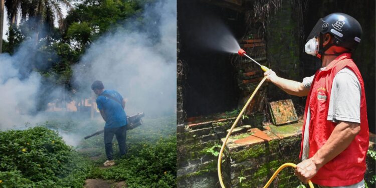 Κίνα: Τι είναι ο ιός τσικουνγκούνια με τα χιλιάδες κρούσματα;