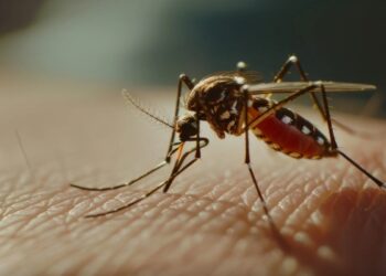 Ιός Δυτικού Νείλου: Ποιοι δήμοι έχουν αυξημένο κίνδυνο μόλυνσης
