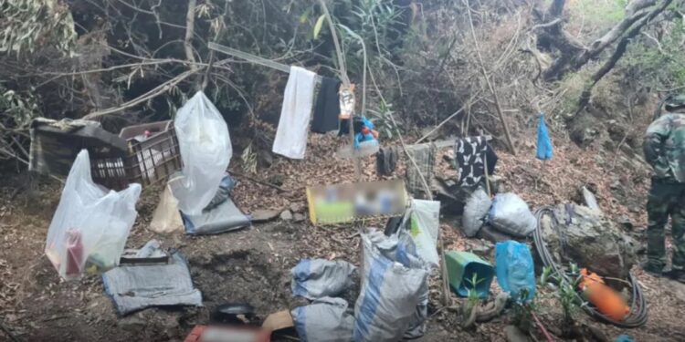 Κρήτη: Βίντεο με την καταδίωξη 28χρονου που καλλιεργούσε χασίς – Δύο συλλήψεις