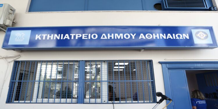 Καταγγελία του Δήμου Αθηναίων για παράνομο χώρο ταφής ζώων συντροφιάς