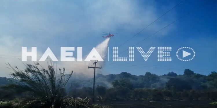 Φωτιά στην Ηλεία – Σε συναγερμό η πυροσβεστική