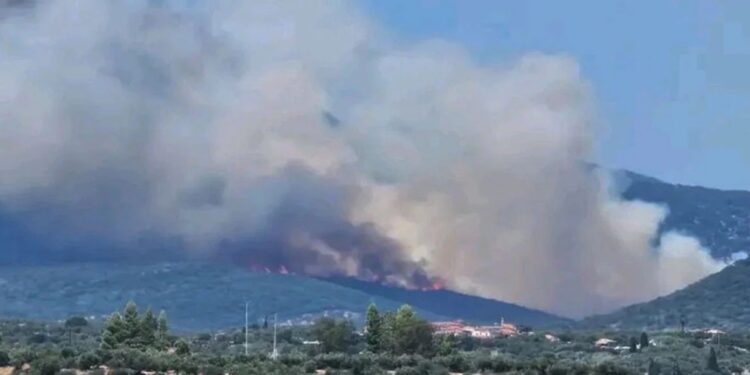 Φωτιά στη Μεσσήνη – Μήνυμα 112 για εκκένωση προς Μελιγαλά