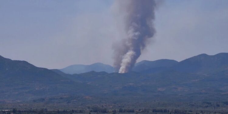 Φωτιά στη Μεσσήνη – Ισχυρές δυνάμεις της Πυροσβεστικής στο σημείο