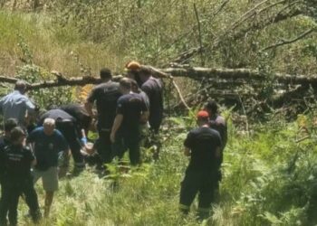 Εργατικό ατύχημα στο Μέτσοβο: Κορμός οξιάς τραυμάτισε σοβαρά ξυλοκόπο