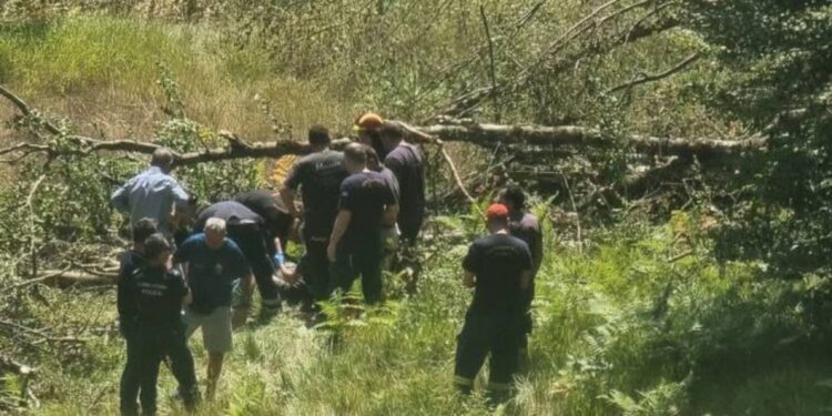 Εργατικό ατύχημα στο Μέτσοβο: Κορμός οξιάς τραυμάτισε σοβαρά ξυλοκόπο