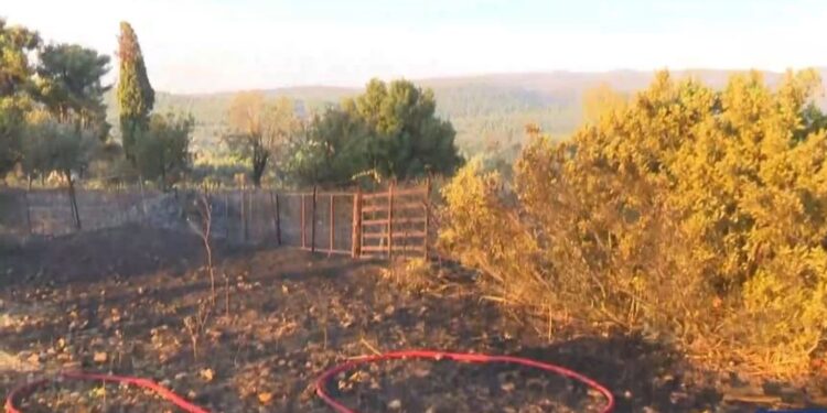 Σε ύφεση η φωτιά στην Οινόη – Ζημιές σε δύο σπίτια – Άνοιξε η Εθνική οδός
