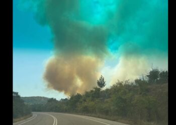 Φωτιά στην Πέλλα – Στην περιοχή Μαυροβούνι