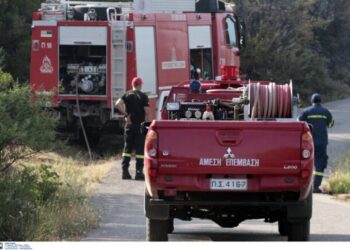 Φωτιά στη Σαλαμίνα