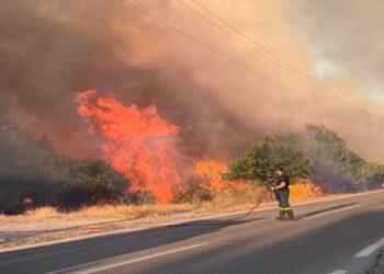 Φωτιά στην Πρέβεζα: Μάχη να μην περάσει το μέτωπο στην Παλιά Φιλιππιάδα – Διαδοχικά μηνύματα από το 112