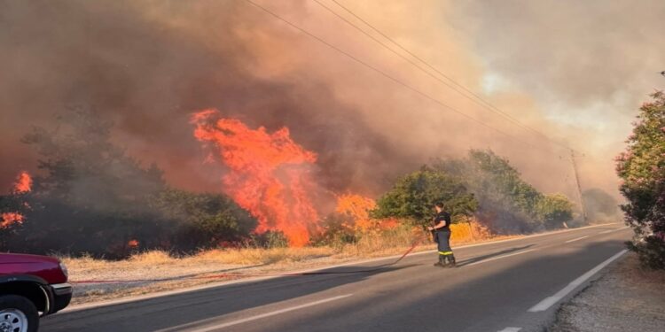 Φωτιά στην Πρέβεζα: Μάχη να μην περάσει το μέτωπο στην Παλιά Φιλιππιάδα – Διαδοχικά μηνύματα από το 112