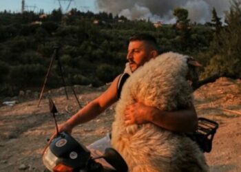 Ποιος είναι ο εθελοντής που έσωσε το πρόβατο από τη φωτιά στην Αχαΐα