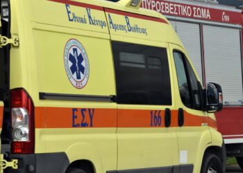 Εργατικό ατύχημα στο Μέτσοβο: Κορμός οξιάς τραυμάτισε σοβαρά ξυλοκόπο