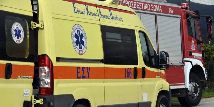 Εργατικό ατύχημα στο Μέτσοβο: Κορμός οξιάς τραυμάτισε σοβαρά ξυλοκόπο