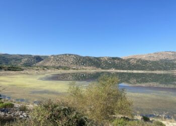 Αρκαδία: Από το Νατούρα 2000 στο έλεος της λειψυδρίας – Στερεύει η λίμνη Τάκα