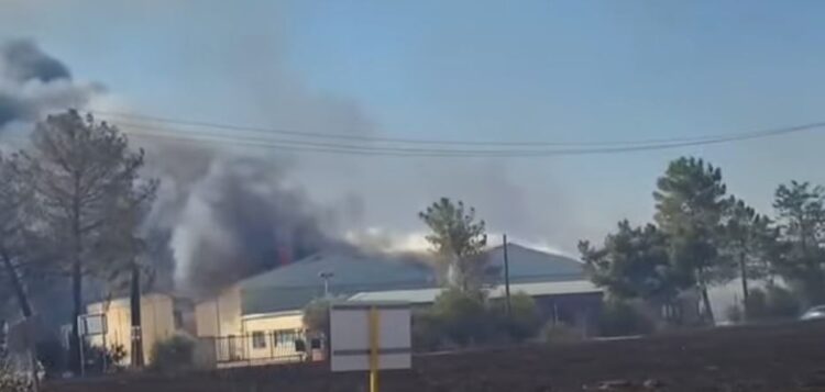 Φωτιά στην Αχαΐα: Εργοστάσιο στις φλόγες (βίντεο)