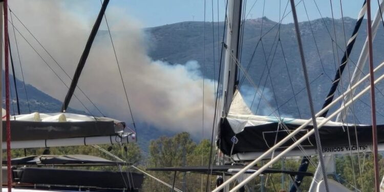 Φωτιά στην Τροιζήνα – Σηκώθηκαν εναέρια μέσα