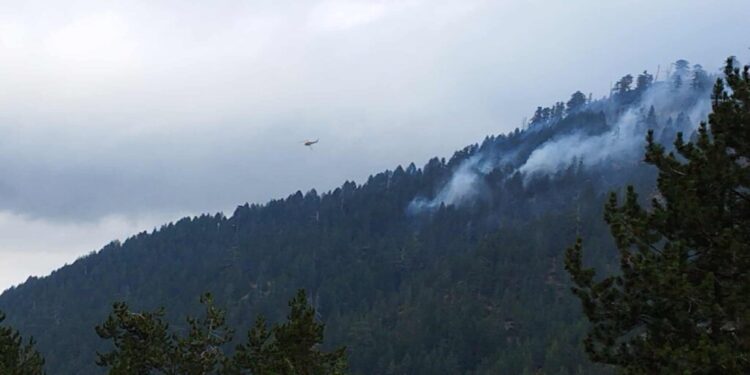 Φωτιά στη Βάλια Κάλντα – Καίει σε δύσβατο σημείο