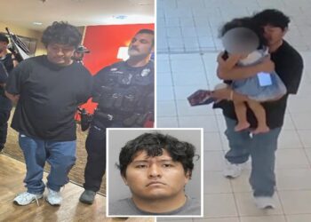 Βιρτζίνια: Άνδρας με σχιζοφρένεια άρπαξε κοριτσάκι από εμπορικό κέντρο