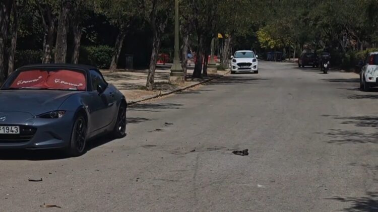 Πέθανε η 67χρονη που αυτοπυρπολήθηκε στο Ζάππειο