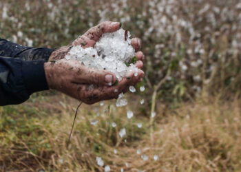Ιωάννινα: Ισχυρή χαλαζόπτωση στο λεκανοπέδιο – Ζημιές σε αμπελοκαλλιέργειες