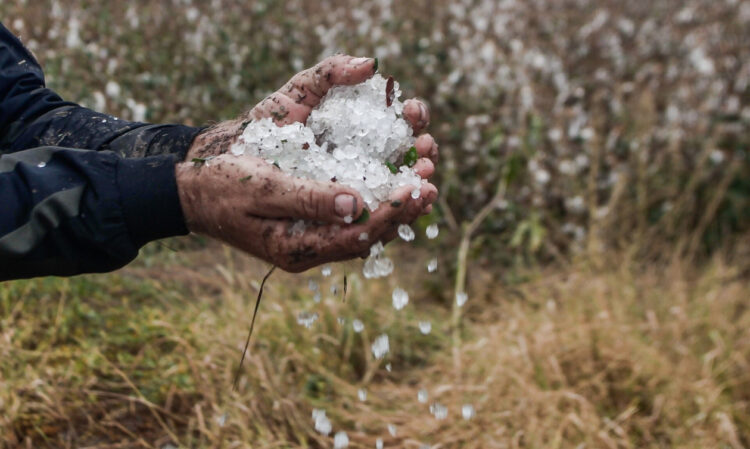 Ιωάννινα: Ισχυρή χαλαζόπτωση στο λεκανοπέδιο – Ζημιές σε αμπελοκαλλιέργειες