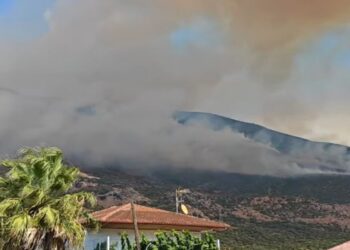 Φωτιά στο Άλσος Αχαΐας – Μήνυμα από το 112