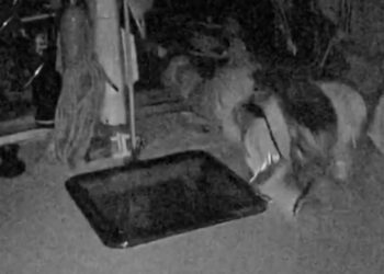 Συναγερμός ανοιχτά της Κρήτης: Επίθεση από drones σε πλοία του «Στόλου για τη Γάζα» (βίντεο)