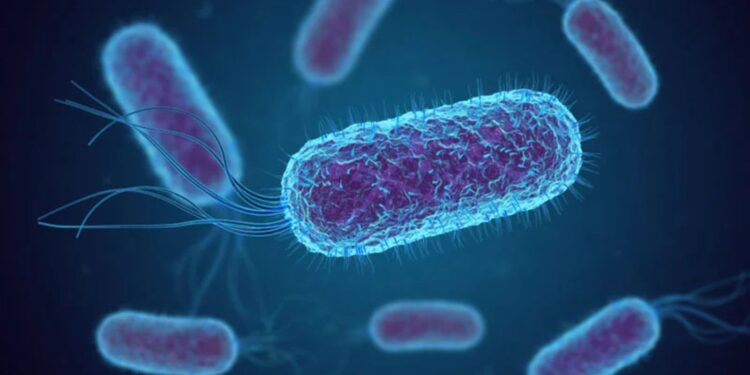 Αντιβιοτικά: Πώς καταρρέει η «πανοπλία» των βακτηρίων και ανοίγονται νέοι δρόμοι για θεραπείες