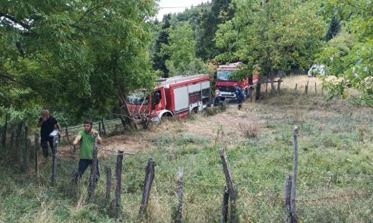 Φωτιά στην Καρδίτσα