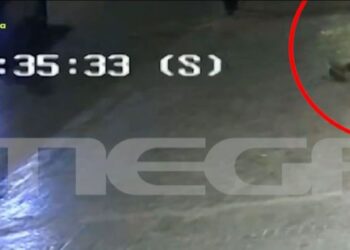 Βίντεο από τη στιγμή που ο 20χρονος γιος επιχειρηματία εμβολίζει αστυνομικό στο κέντρο της Αθήνας