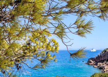 Καιρός: Έως 34 βαθμούς η  θερμοκρασία – Τοπικά περιορισμένη ορατότητα τις πρωινές ώρες στα δυτικά