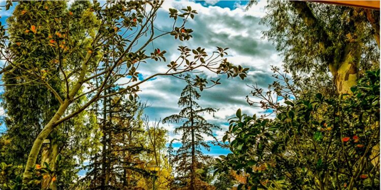 Νέα ανάρτηση Μαρουσάκη για τον καιρό – «37αρια αλλά και έντονες καταιγίδες σήμερα»