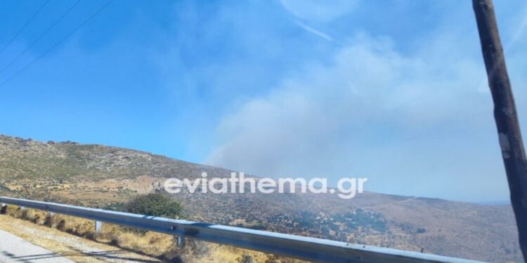 Φωτιά στην Κάρυστο – Επιχειρούν και εναέρια μέσα