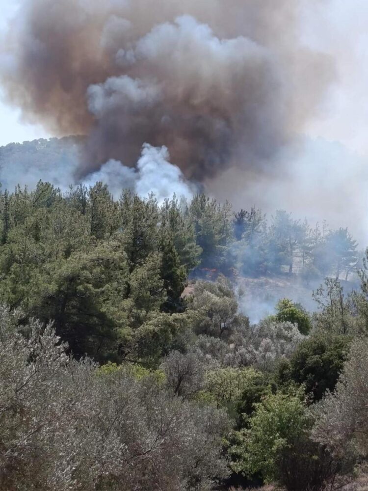 Φωτιά τώρα στη Βρίσα Λέσβου – 112 για ετοιμότητα, ενισχύθηκαν οι πυροσβεστικές δυνάμεις