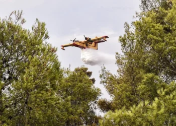 Οριοθετήθηκε η φωτιά κοντά στη Στεμνίτσα Αρκαδίας