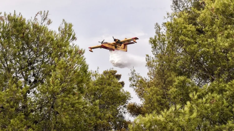 Οριοθετήθηκε η φωτιά κοντά στη Στεμνίτσα Αρκαδίας