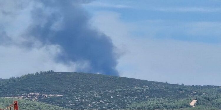Φωτιά στην Πυλαία Θεσσαλονίκης – Στάλθηκε 112 για ετοιμότητα