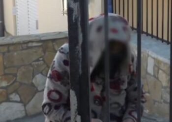 Βοιωτία: Γρίφος το χρονικό ταφής της 91χρονης – 5 χρόνια είχε να πάει σπίτι ο γιος της 62χρονης