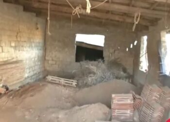 Βοιωτία: «Βοήθησέ με ή αυτοκτονώ» – Η 62χρονη είχε μετατρέψει το σπίτι της σε φρούριο