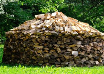 Δασμοί Τραμπ:  10% στις εισαγωγές ξυλείας επιβάλλουν οι ΗΠΑ