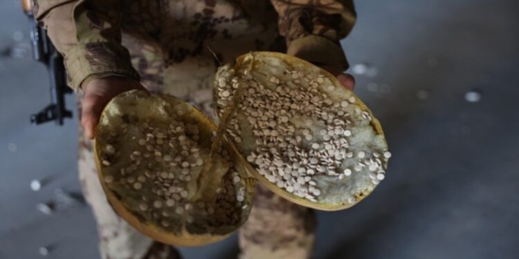 Τα χάπια των τζιχαντιστών: Κατάσχεση 12 εκατ. Captagon στη Συρία