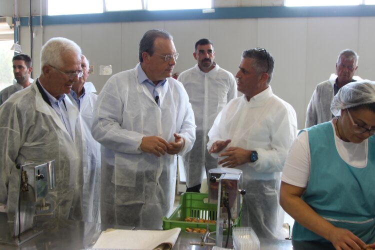 Φάμελλος από Μεσσηνία: Καταρρέει η ύπαιθρος με ευθύνη Μητσοτάκη