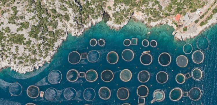 SOS εκπέμπουν οι ιχθυοκαλλιέργειες: Kίνδυνος για 12000 εργαζόμενους κυρίως στην περιφέρεια