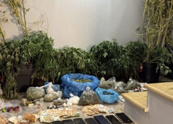 Τροιζηνία: Τρία εργαστήρια κάνναβης εντόπισε η Αστυνομία – Επτά συλλήψεις